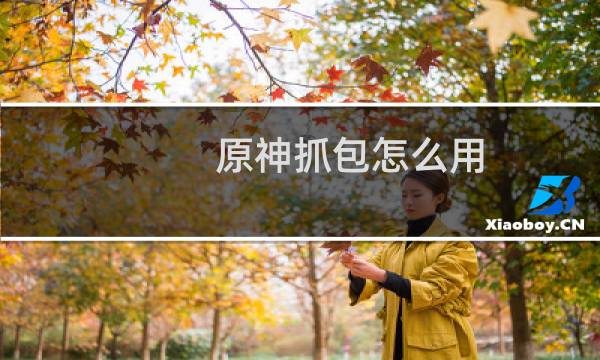 原神抓包怎么用