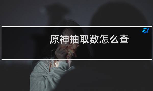 原神抽取数怎么查