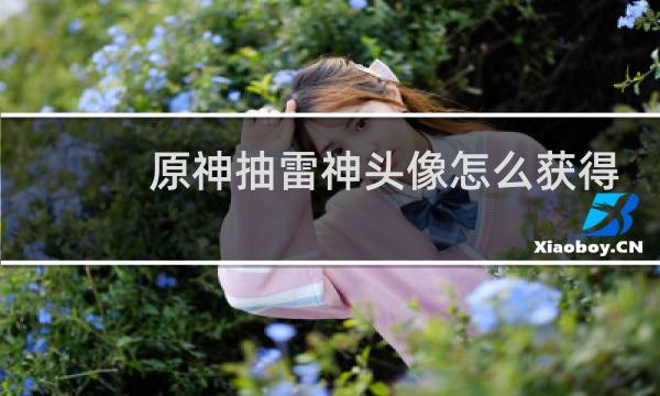 原神抽雷神头像怎么获得