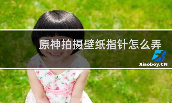 原神拍摄壁纸指针怎么弄