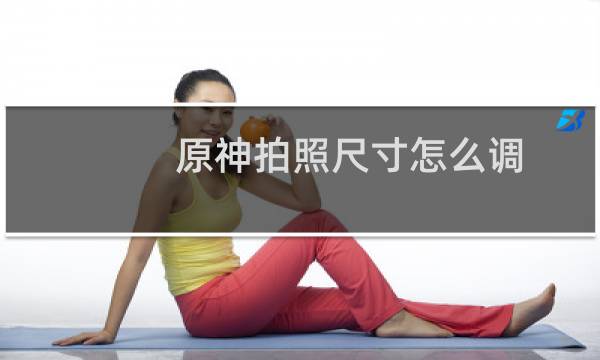 原神拍照尺寸怎么调