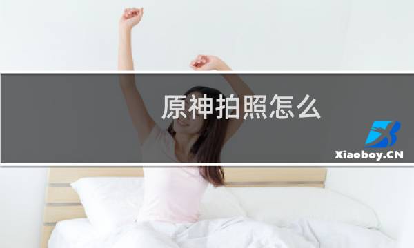 原神拍照怎么 静止