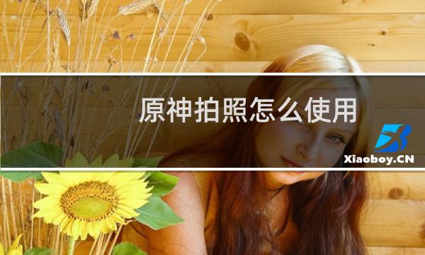 原神拍照怎么使用