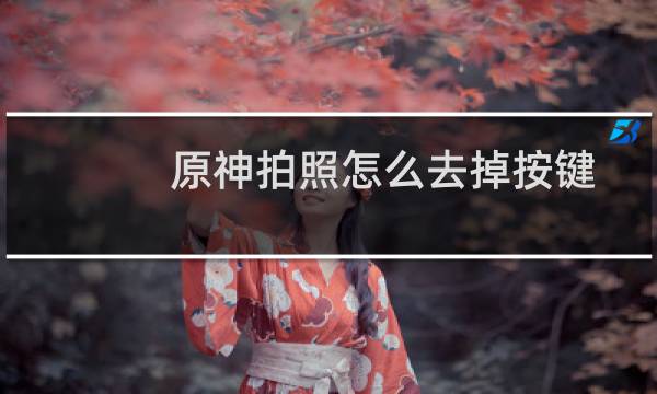 原神拍照怎么去掉按键