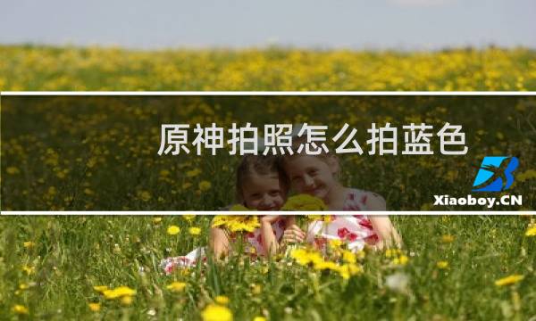 原神拍照怎么拍蓝色