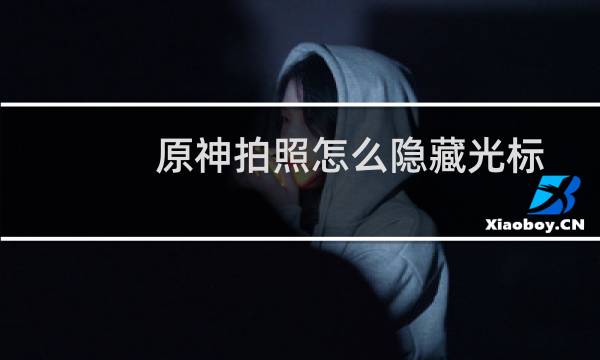 原神拍照怎么隐藏光标