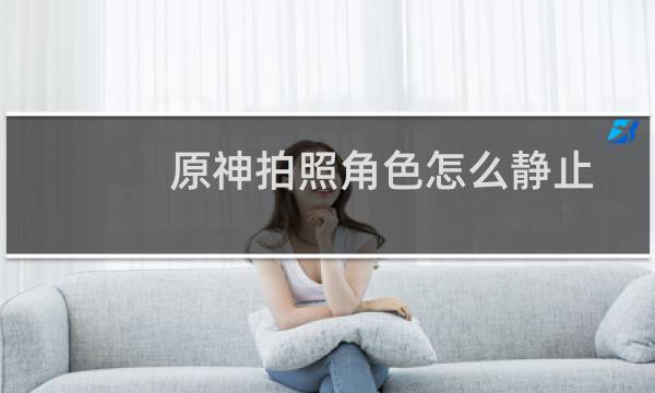 原神拍照角色怎么静止