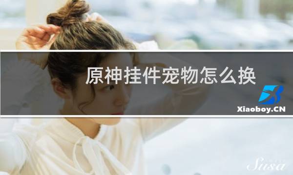 原神挂件宠物怎么换