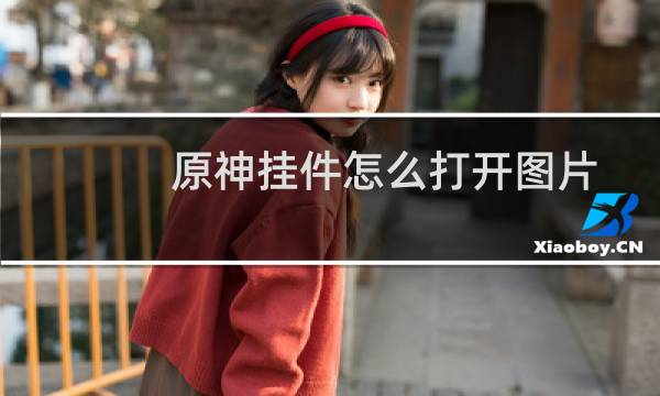 原神挂件怎么打开图片