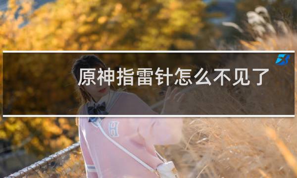 原神指雷针怎么不见了