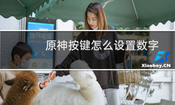 原神按键怎么设置数字