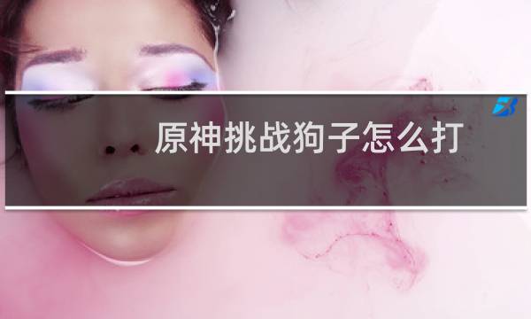 原神挑战狗子怎么打