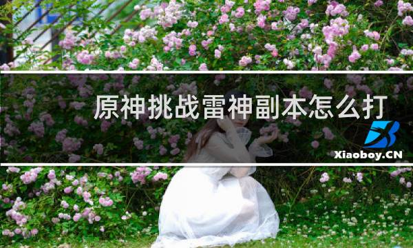 原神挑战雷神副本怎么打