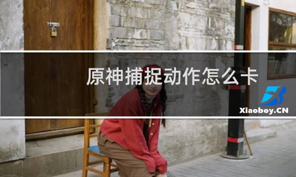 原神捕捉动作怎么卡