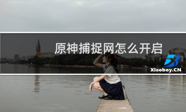 原神捕捉网怎么开启