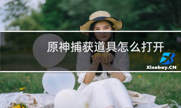 原神捕获道具怎么打开