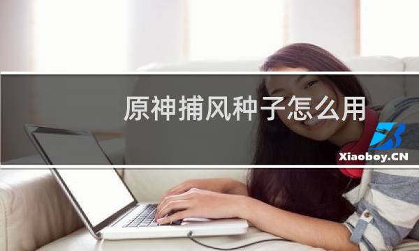 原神捕风种子怎么用