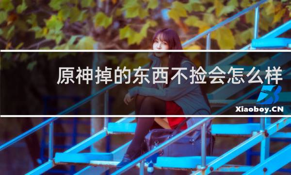 原神掉的东西不捡会怎么样