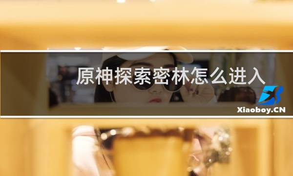原神探索密林怎么进入