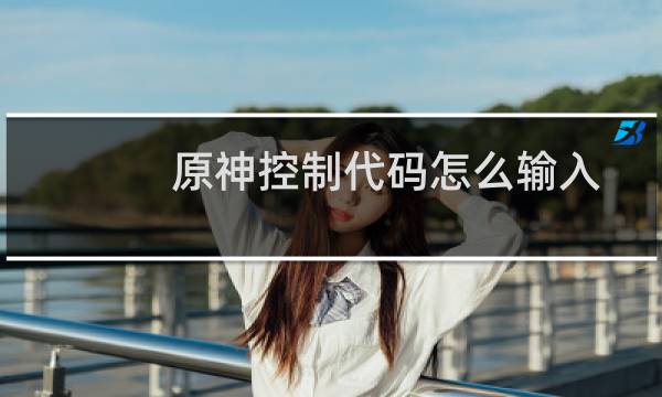原神控制代码怎么输入