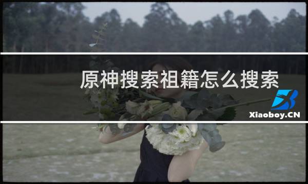原神搜索祖籍怎么搜索
