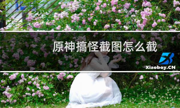 原神搞怪截图怎么截