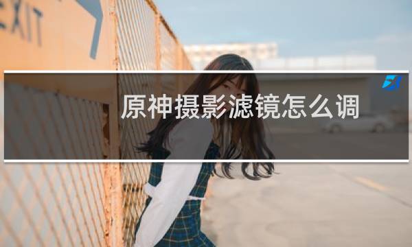 原神摄影滤镜怎么调
