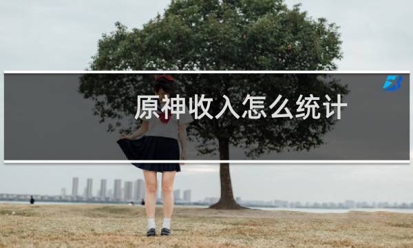 原神收入怎么统计