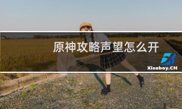 原神攻略声望怎么开