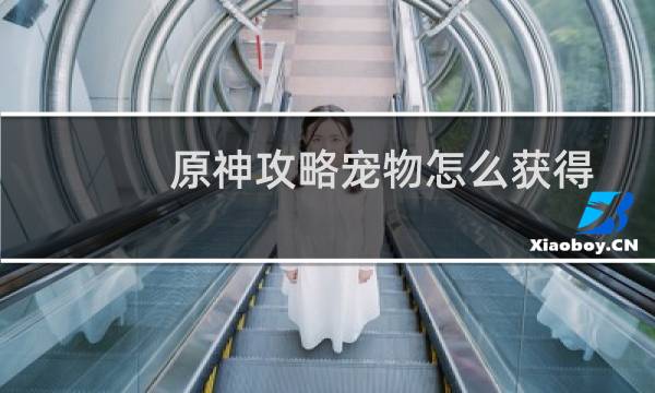 原神攻略宠物怎么获得