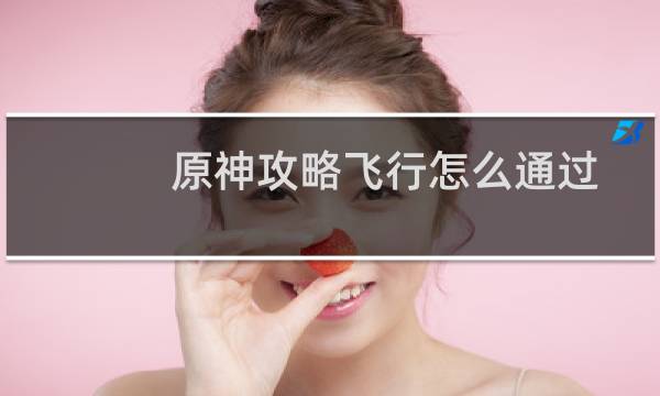 原神攻略飞行怎么通过