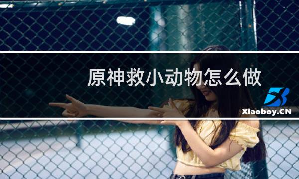 原神救小动物怎么做