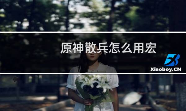 原神散兵怎么用宏