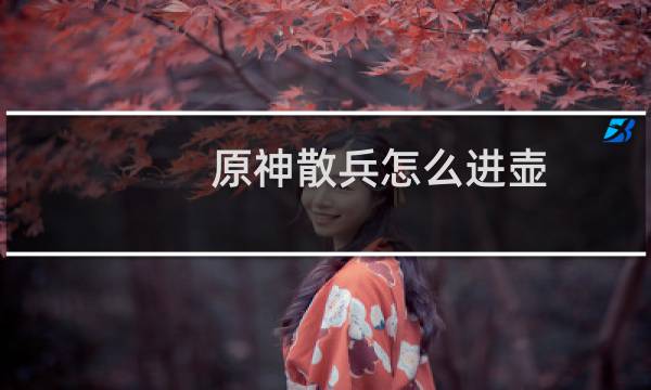 原神散兵怎么进壶