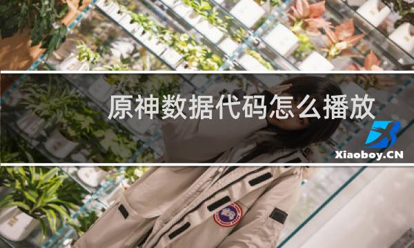 原神数据代码怎么播放