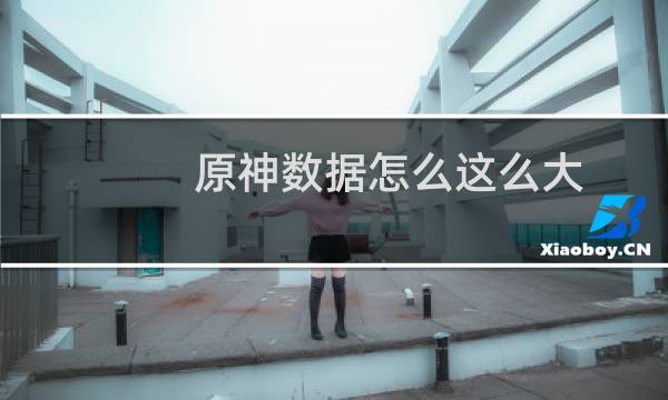 原神数据怎么这么大