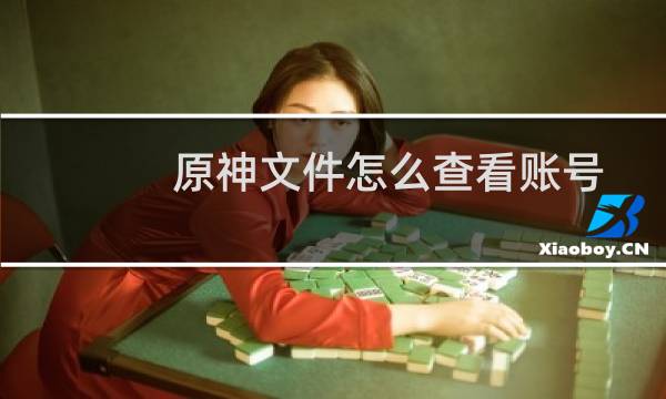 原神文件怎么查看账号