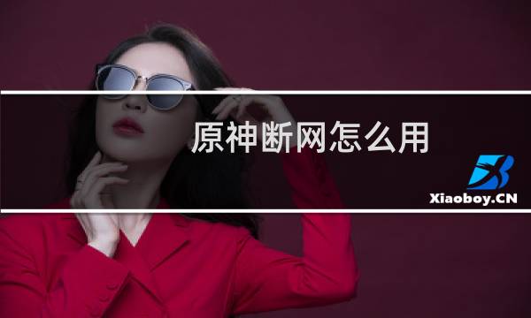 原神断网怎么用
