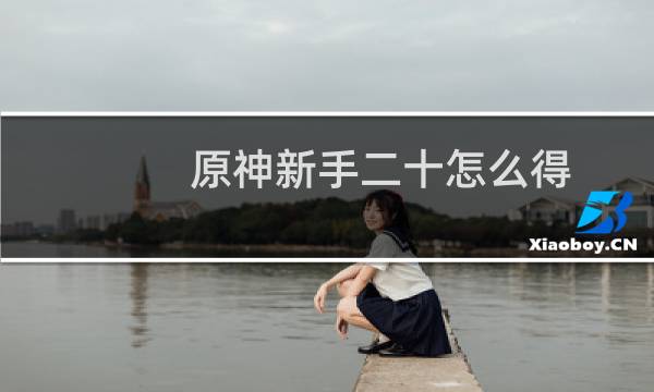 原神新手二十怎么得