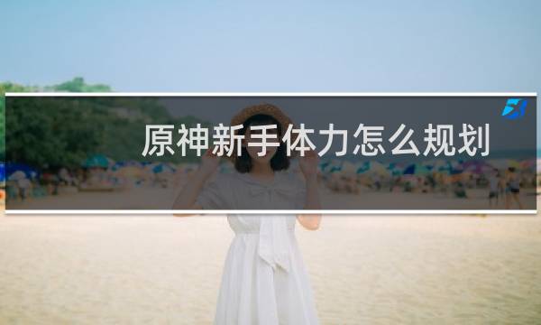 原神新手体力怎么规划