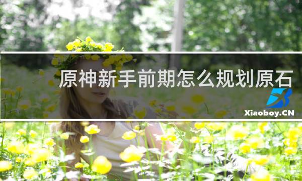 原神新手前期怎么规划原石