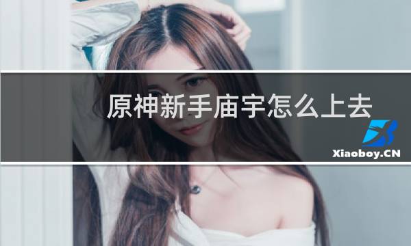 原神新手庙宇怎么上去