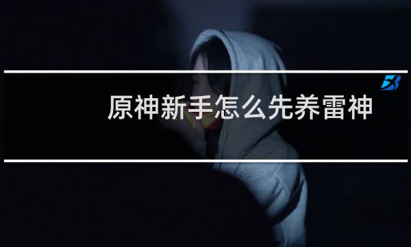 原神新手怎么先养雷神