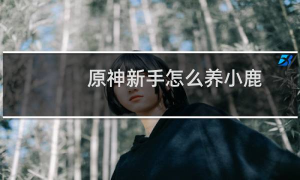 原神新手怎么养小鹿