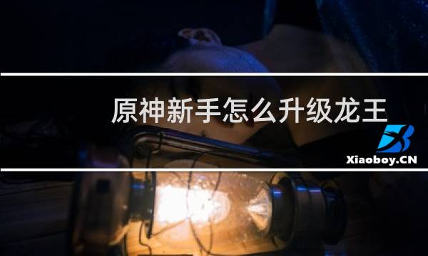原神新手怎么升级龙王