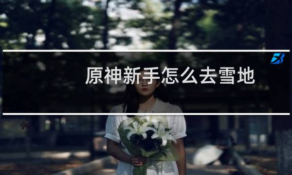 原神新手怎么去雪地