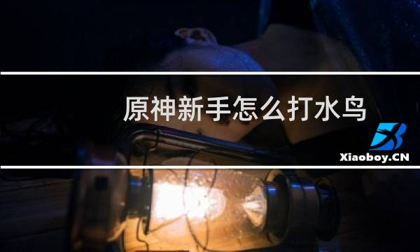 原神新手怎么打水鸟