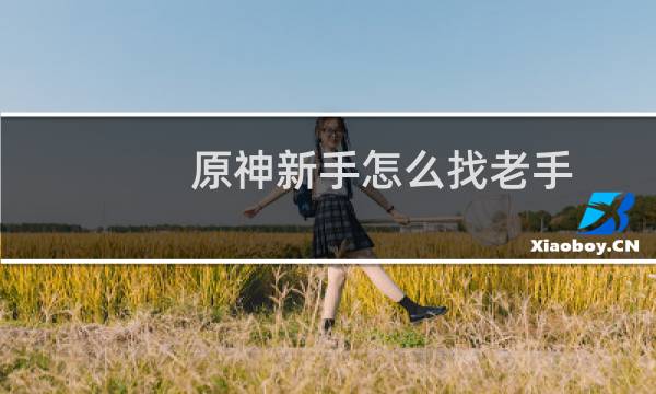 原神新手怎么找老手