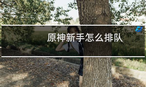 原神新手怎么排队