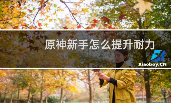 原神新手怎么提升耐力